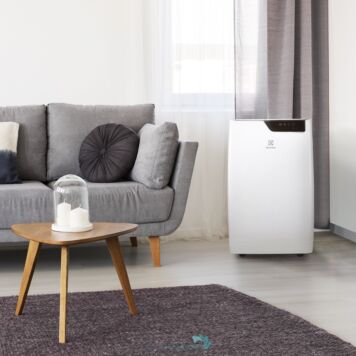 Кондиционер мобильный Electrolux EACM-09 GT/N6-10